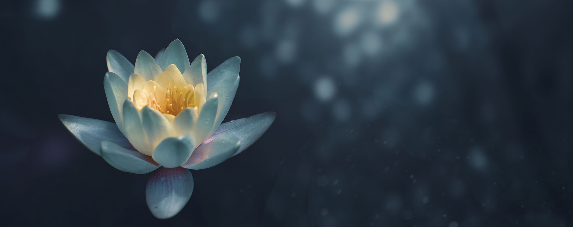 personal developement développement personnel yahya agoulzi